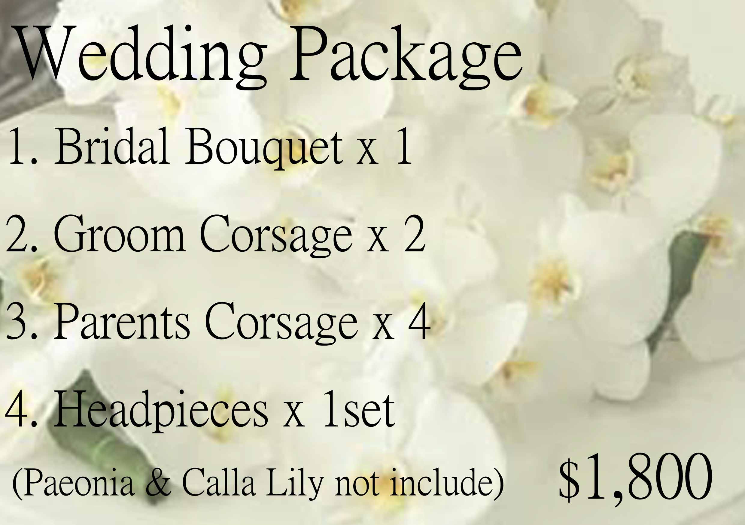 wedding-package-2015